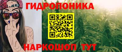 герыч Кингисепп