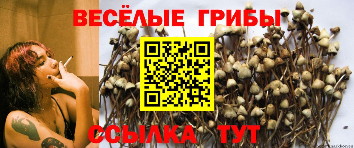 Псилоцибиновые грибы прущие грибы  как найти закладки  Вход с VPN  Ялуторовск  Псилоцибиновые грибы ЛСД 
