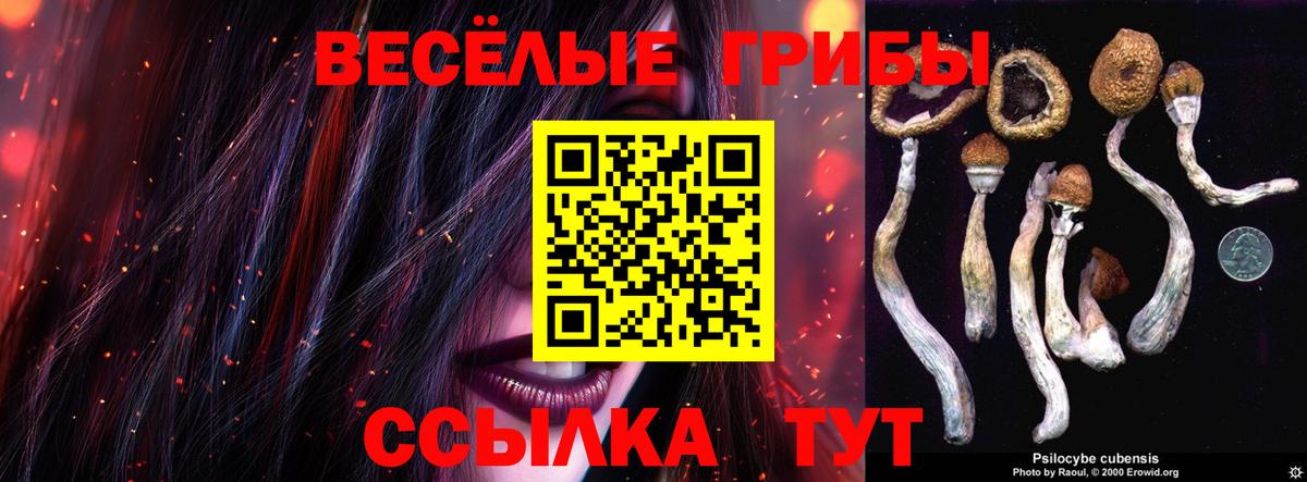 Галлюциногенные грибы мухоморы Ялуторовск
